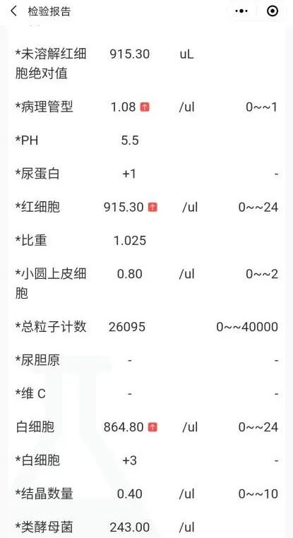 血尿后怎么保养,血尿3天就自己好了