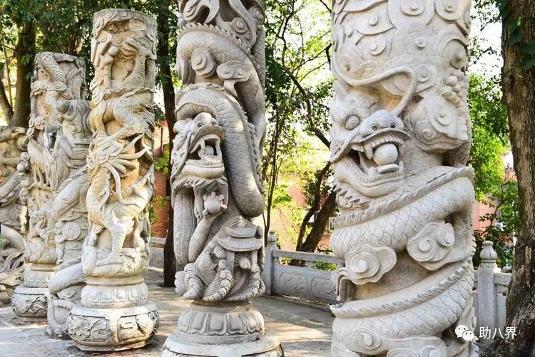 武汉必打卡的十大景点介绍,武汉南湖网红打卡景点