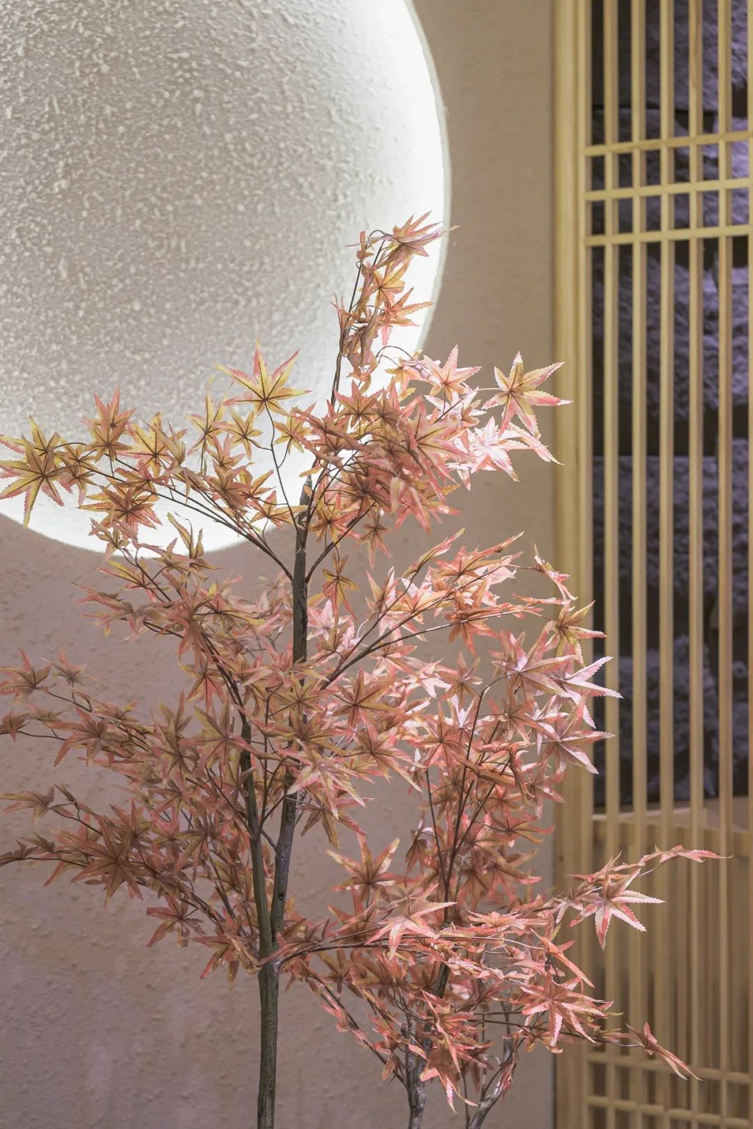 北京路性价比高的早茶店,北京路性价比好店