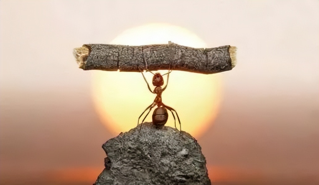 其实人一直都在吸收着高维能量,高手从高维空间吸收能量