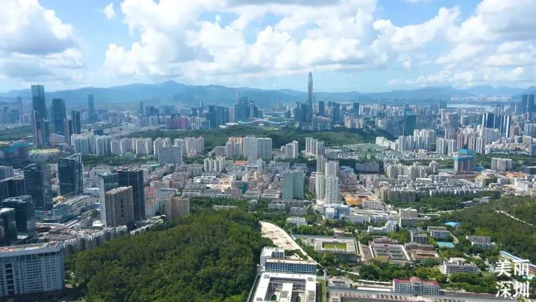 春天去哪儿玩？ABCD四条线路带你“狂飙”福田！