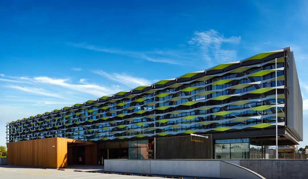 猕猴桃的原产洲在哪里,新西兰猕猴桃发展