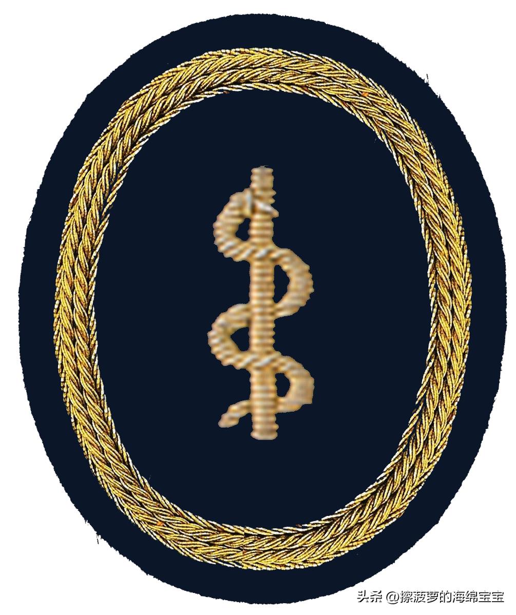 二战德国国防军医疗兵军衔标志