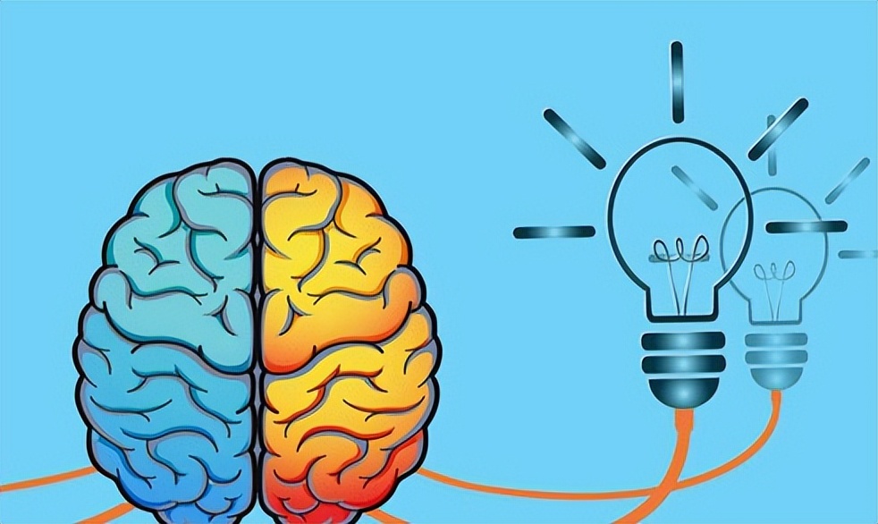 开发右脑，提升记忆力，实现左右脑平衡发展-脑博士