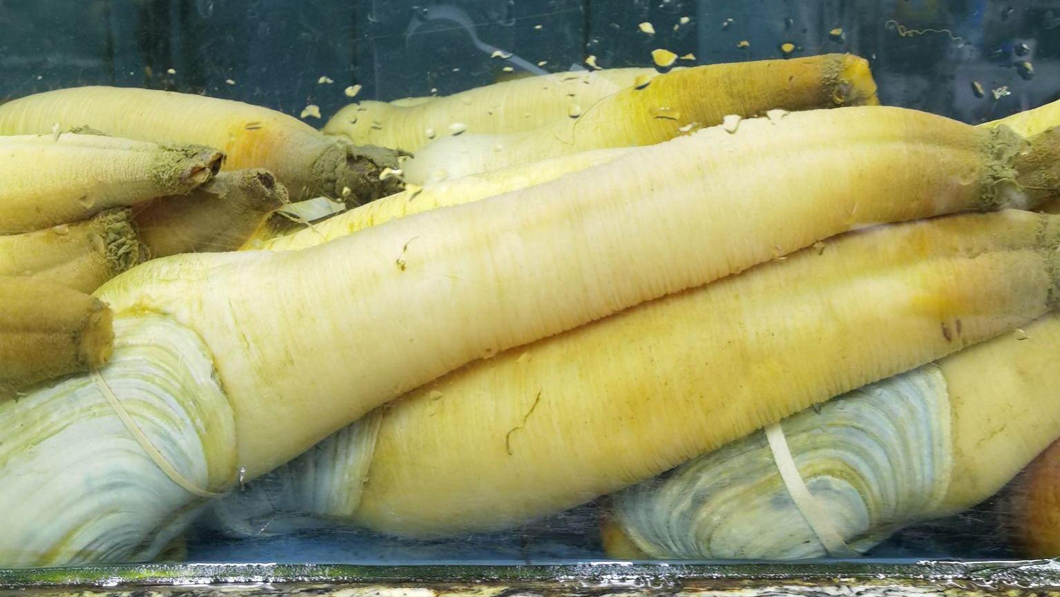 如何做好水产海鲜生意,海鲜店开店流程及费用