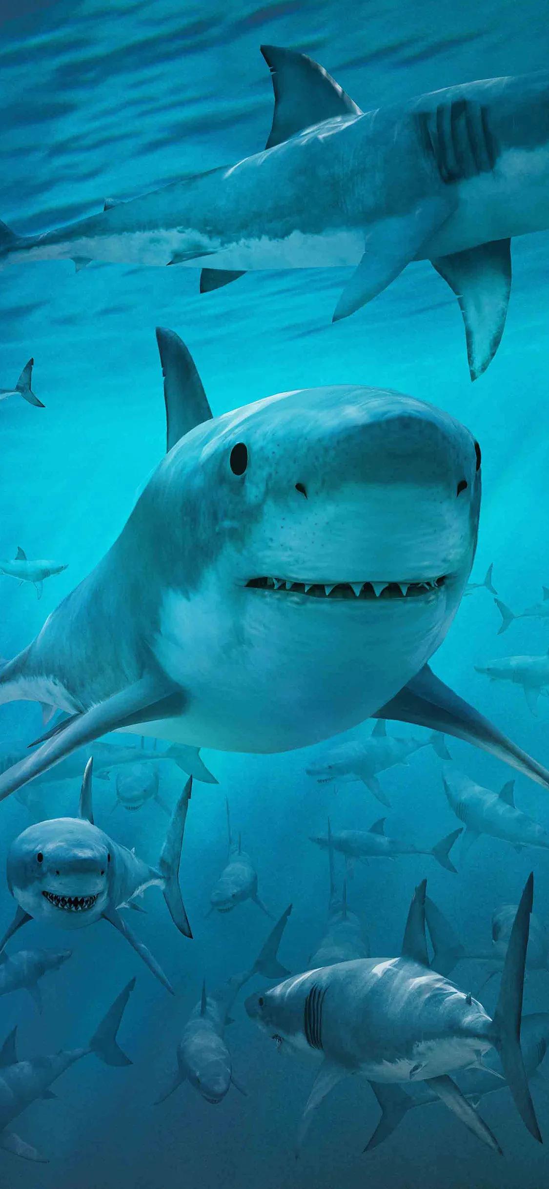 蓝色海景壁纸图片大全,海景壁纸4k超清全面屏