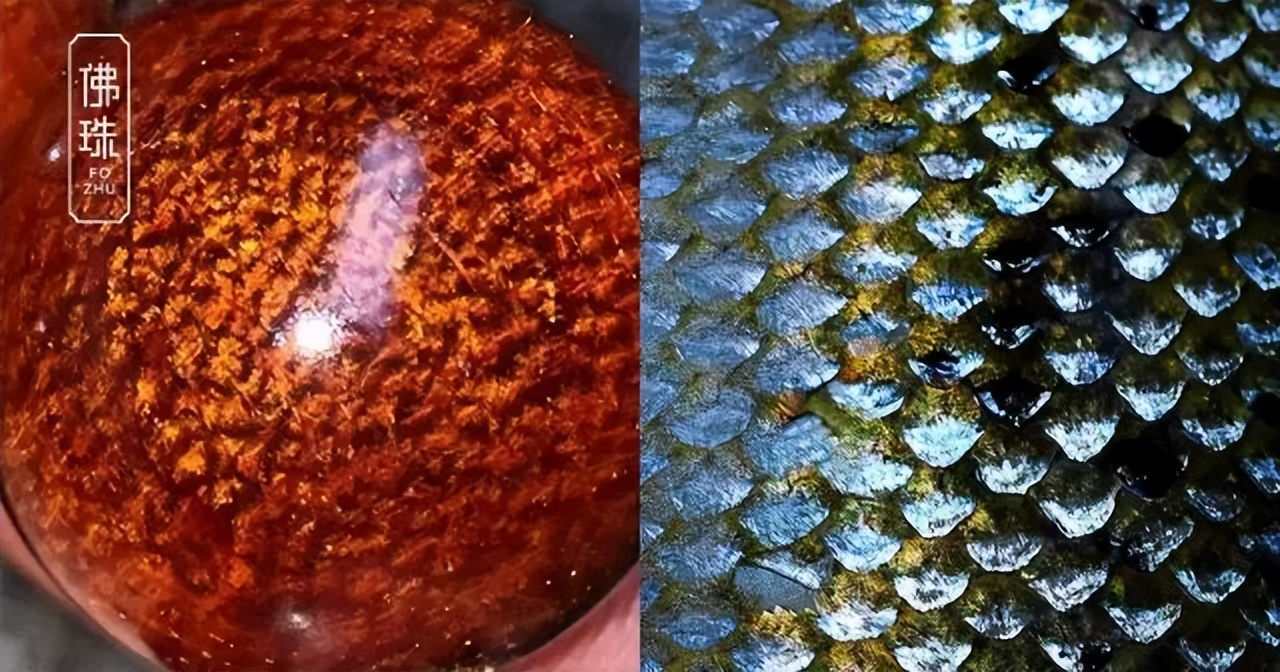 比较具有收藏价值的木质手串,最值得收藏的木质手串有哪些