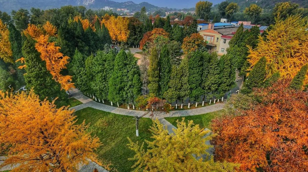 在这里享有阳光尊重关爱和希望——在北京老年医院沉浸式体验有感