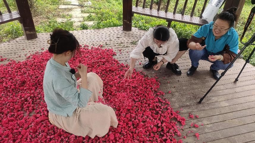 阜南邮政分公司“乡村振兴‘邮’我同行”系列电商助农-于集玫瑰