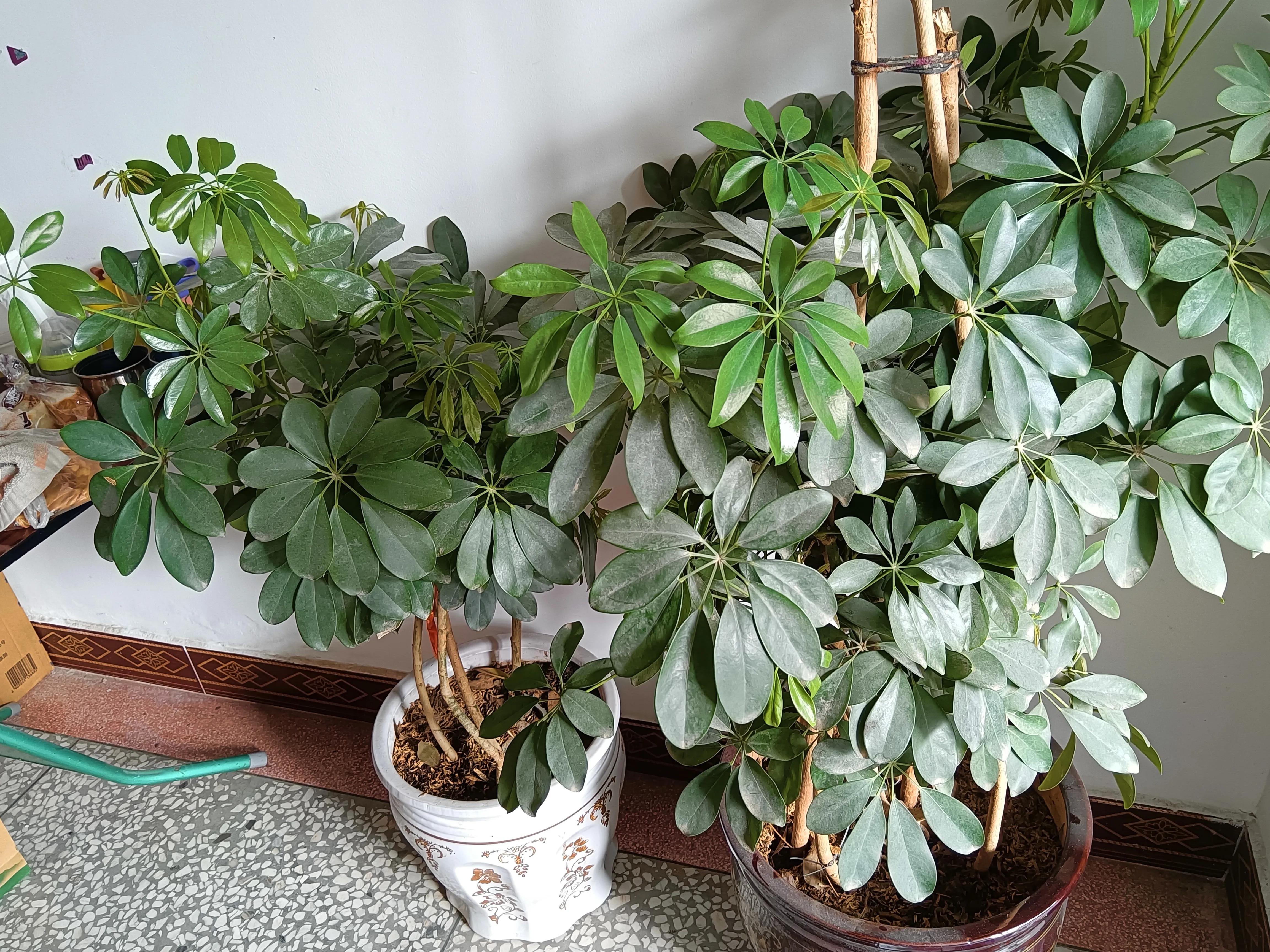 能工巧匠的作品视频,能工巧匠的视频