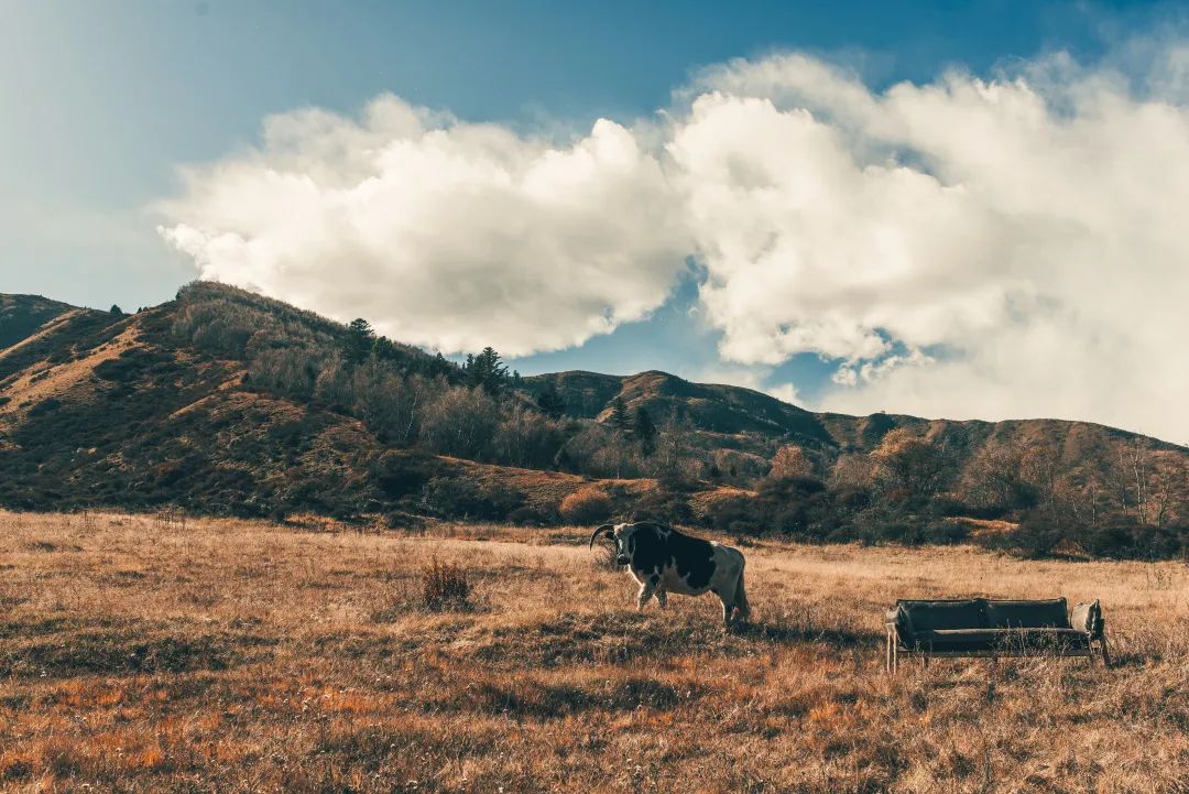 Battle十年！与全球高手掰投的中国设计怎样了