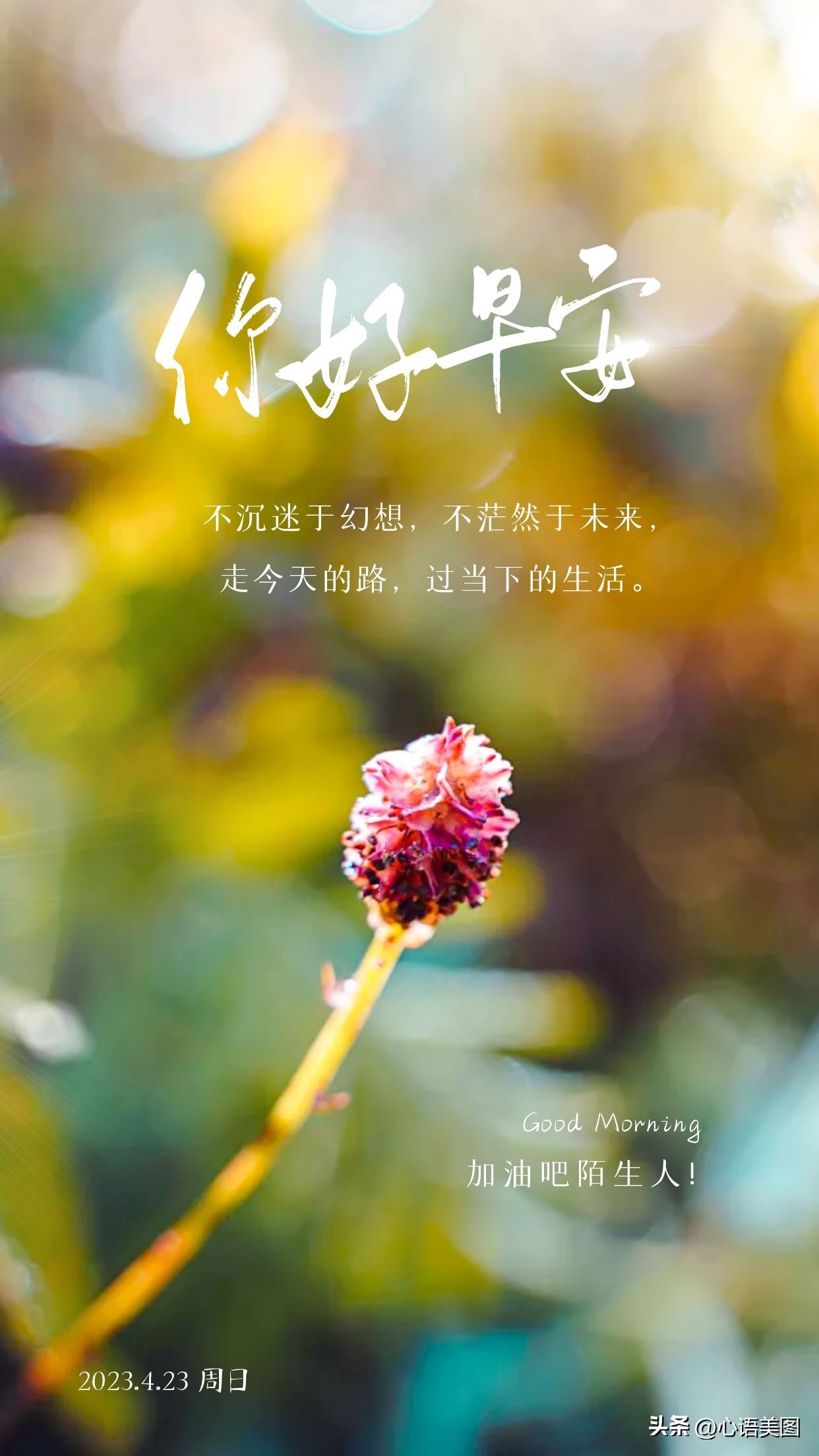 和拼搏改变命运相似的文案,人的磁场能量与命运文案