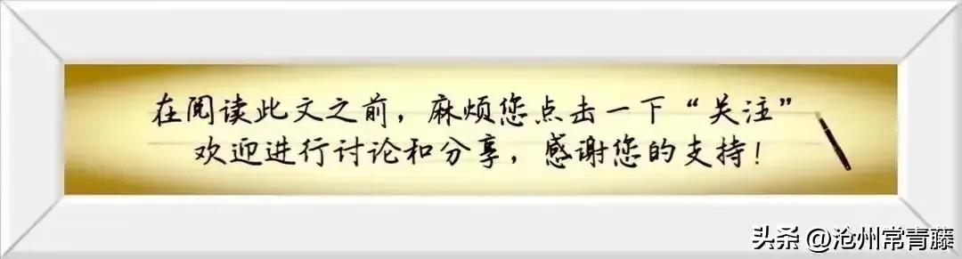 「沧州教育」沧州一中“五四”演讲比赛，引爆校园