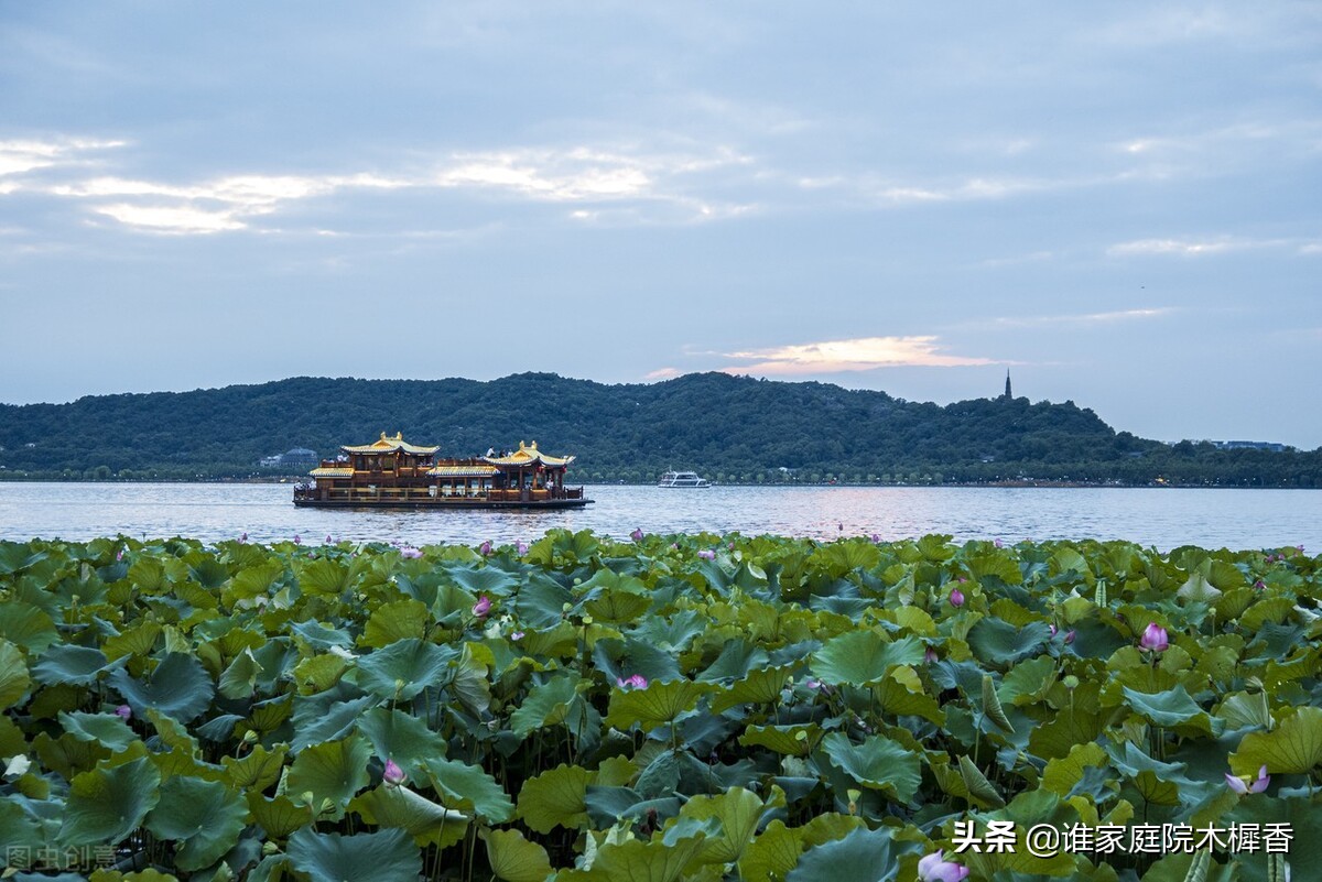 题临安邸林升是写给谁的,林升写的诗悲伤