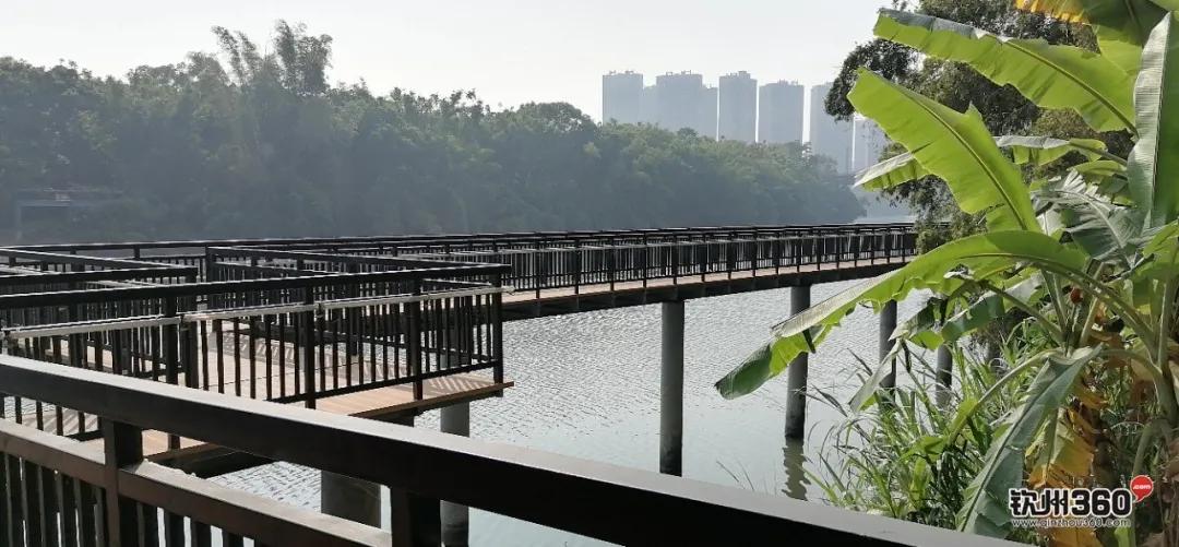 热议！大运河钦州青年水闸枢纽即将动工，网友：趁现在多看几眼吧