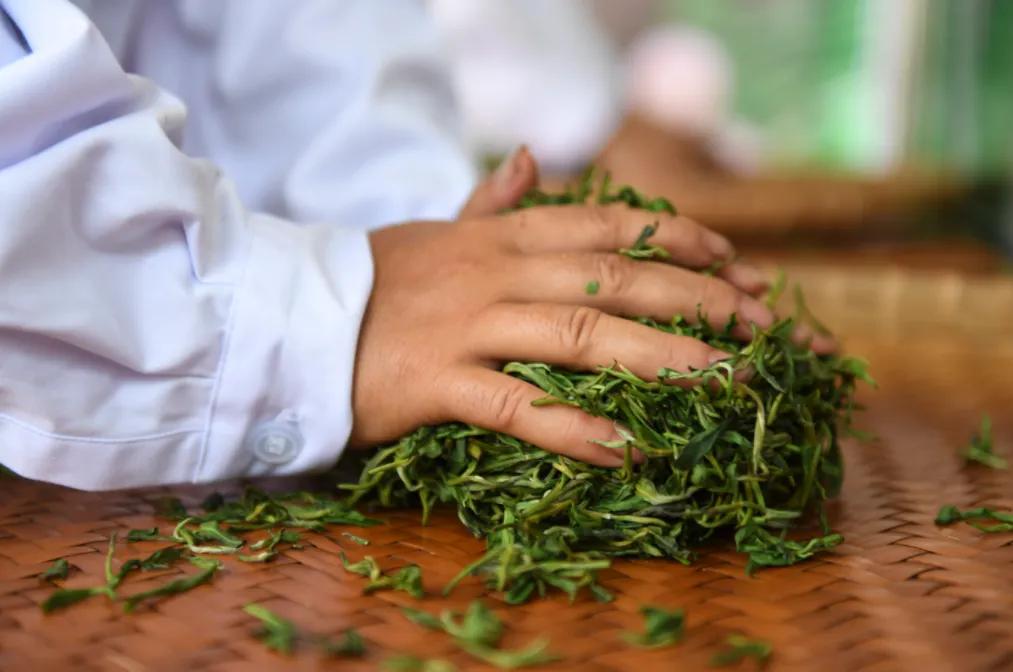 红茶和绿茶有什么区别如何区分,喝茶绿茶和红茶有什么区别