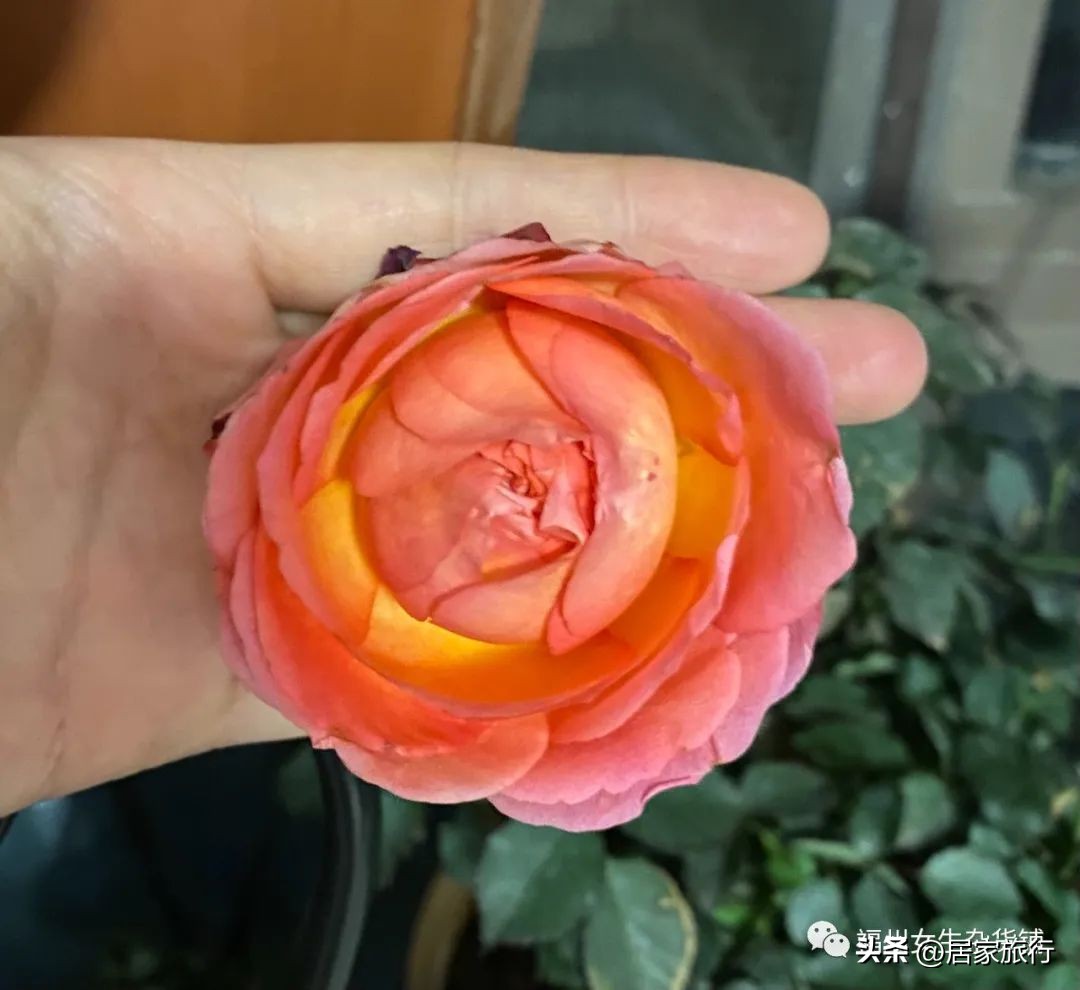 春风250sr打火以后咔咔的响,春风以后