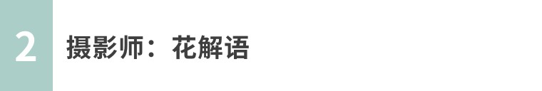 昆虫摄影艺术展,昆虫世界摄影欣赏