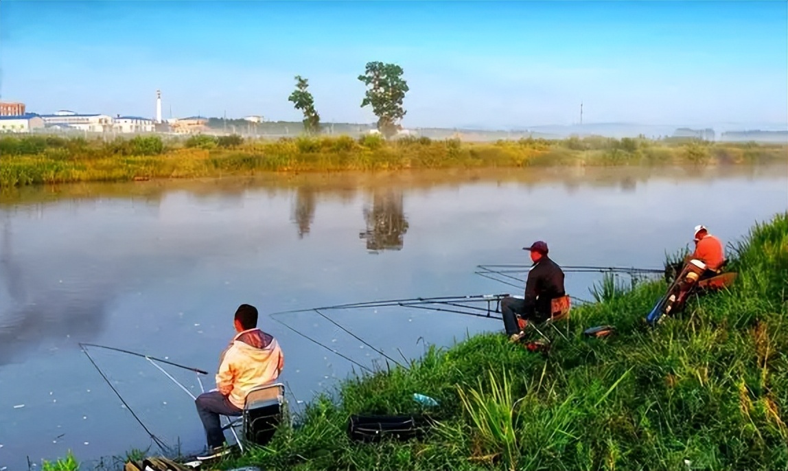 农村4种小杂鱼,农村十种小杂鱼