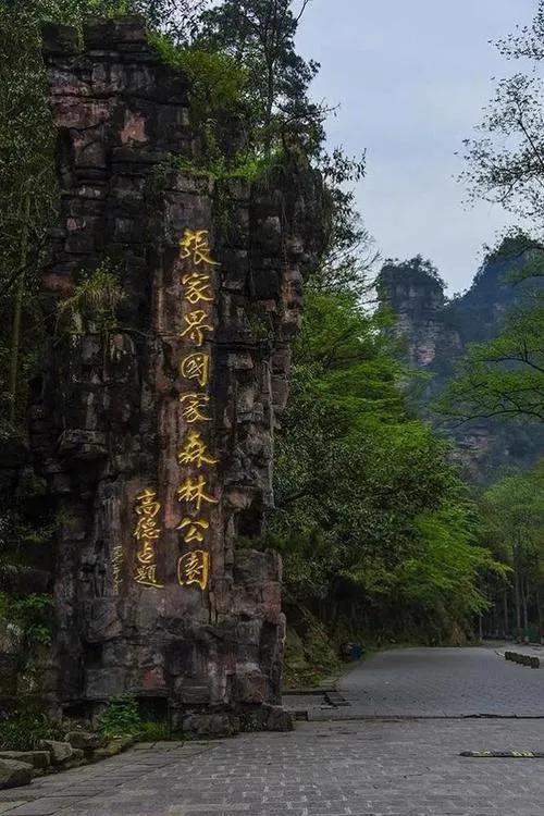 一定要来南方旅游,领略南方景色的风情万种