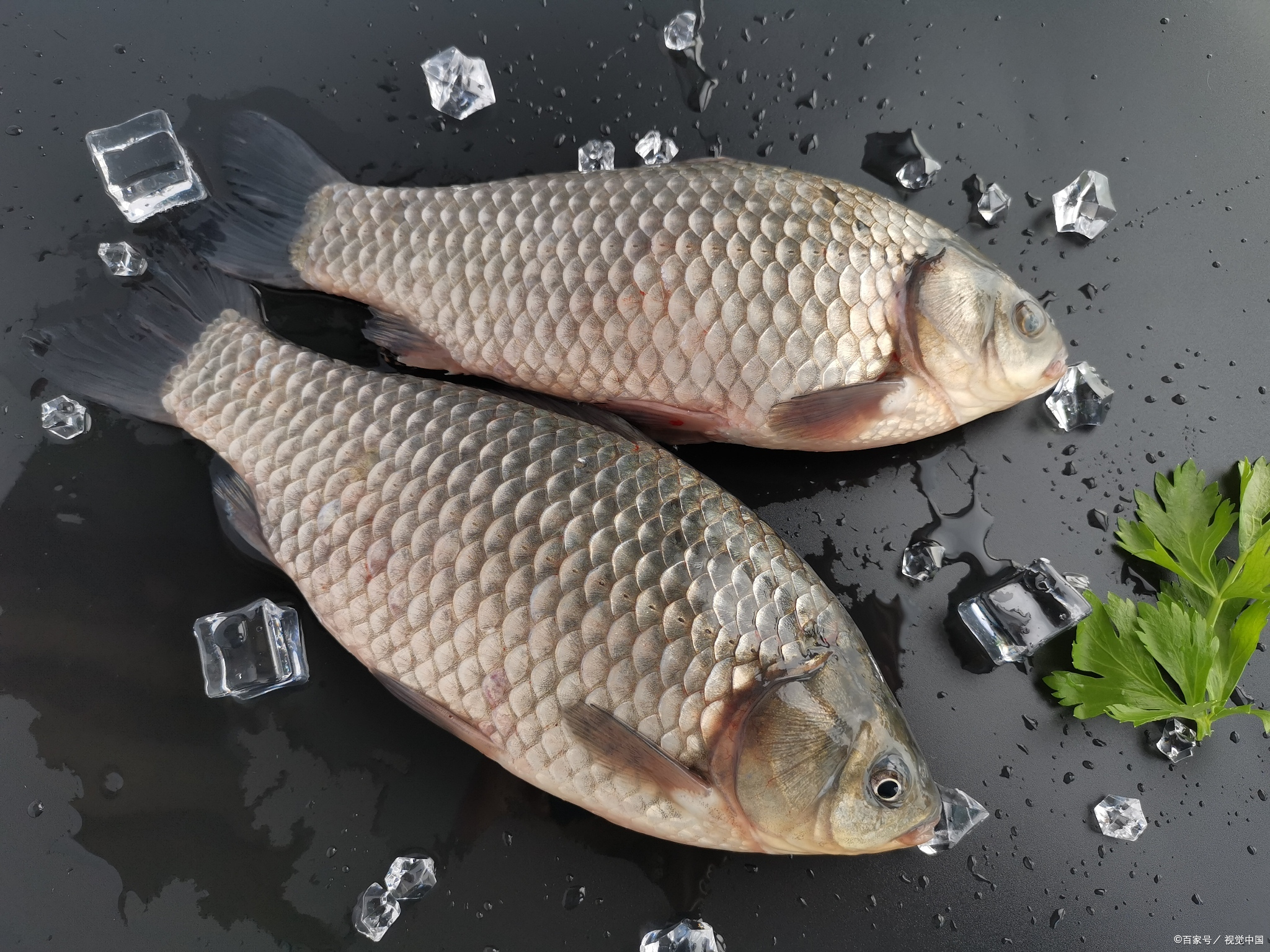 五种正在消失的河鲜,顶级河鲜有哪些