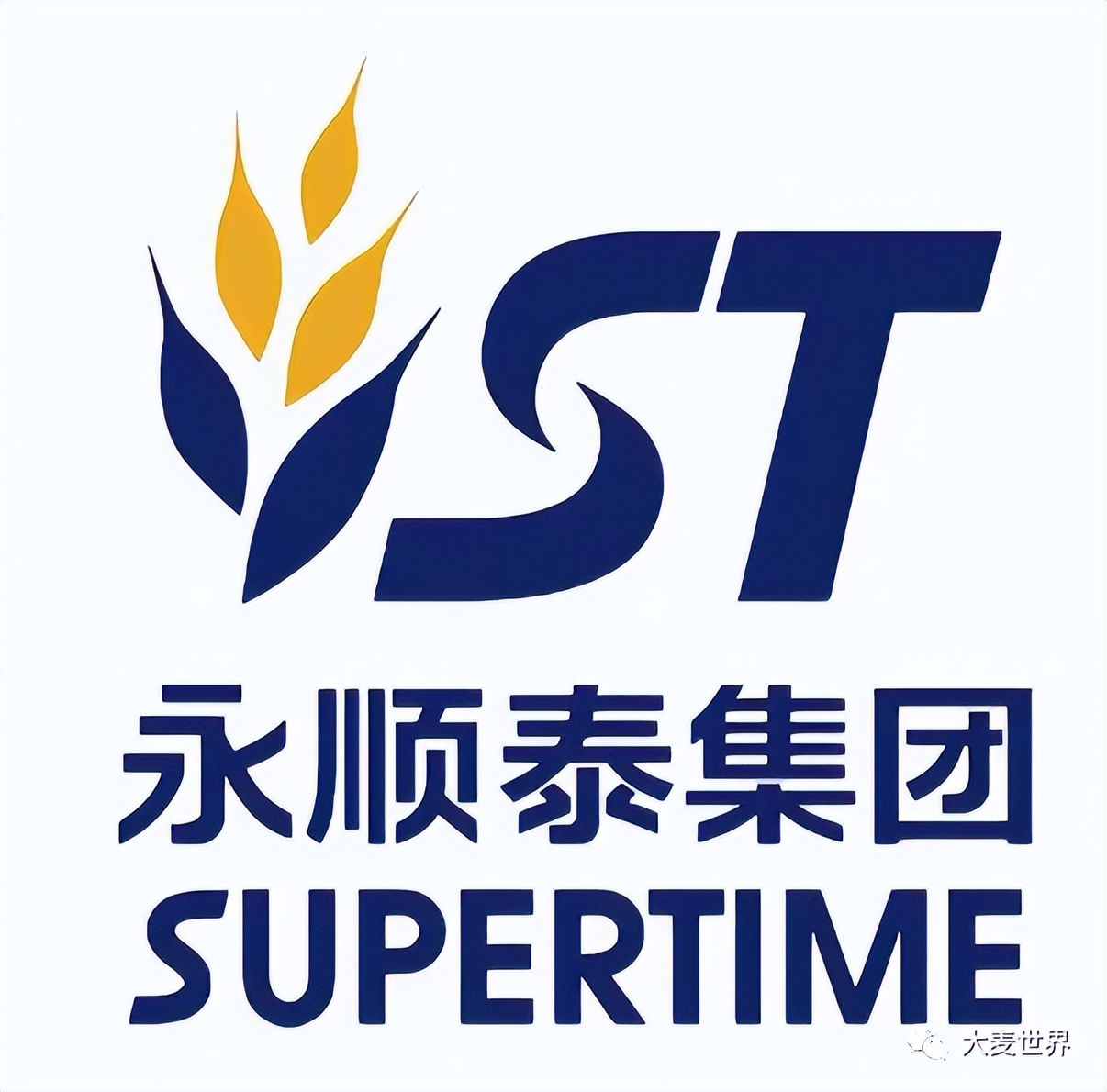 麦芽公司发展前景,麦芽上市了吗