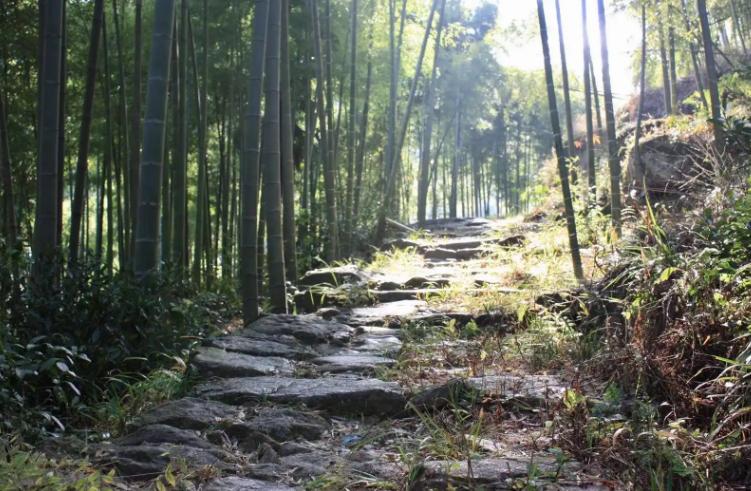 离离原上草古诗讲解,离离原上草全诗的诗名变了吗