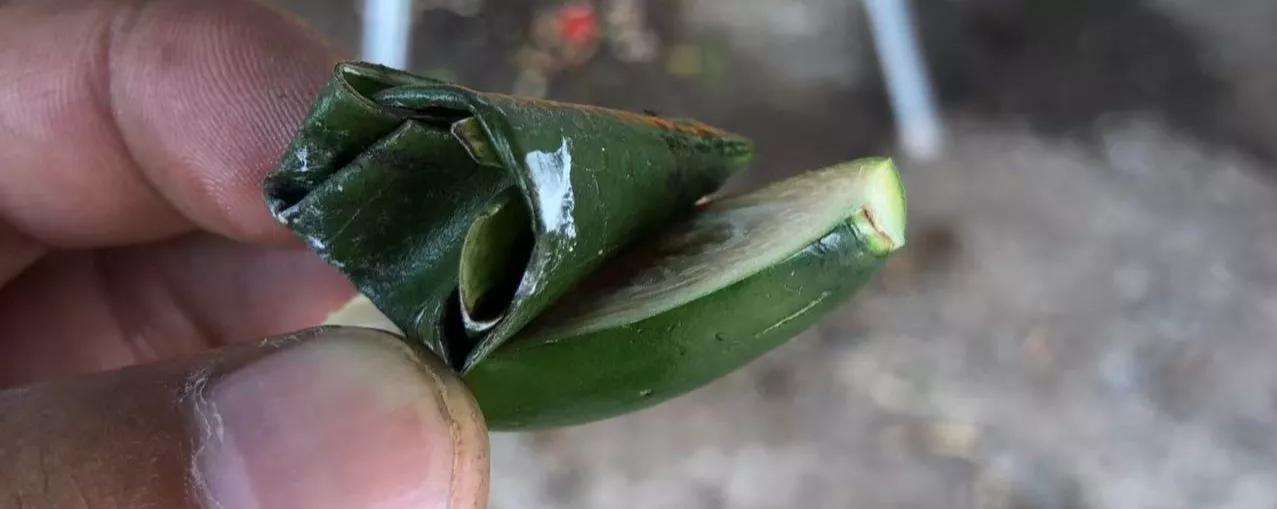 海南文昌博鳌骑行旅游攻略,骑行中国之淄博