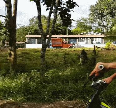 女主管换了新电脑，她把旧的送给了我，我抬回家打开影库