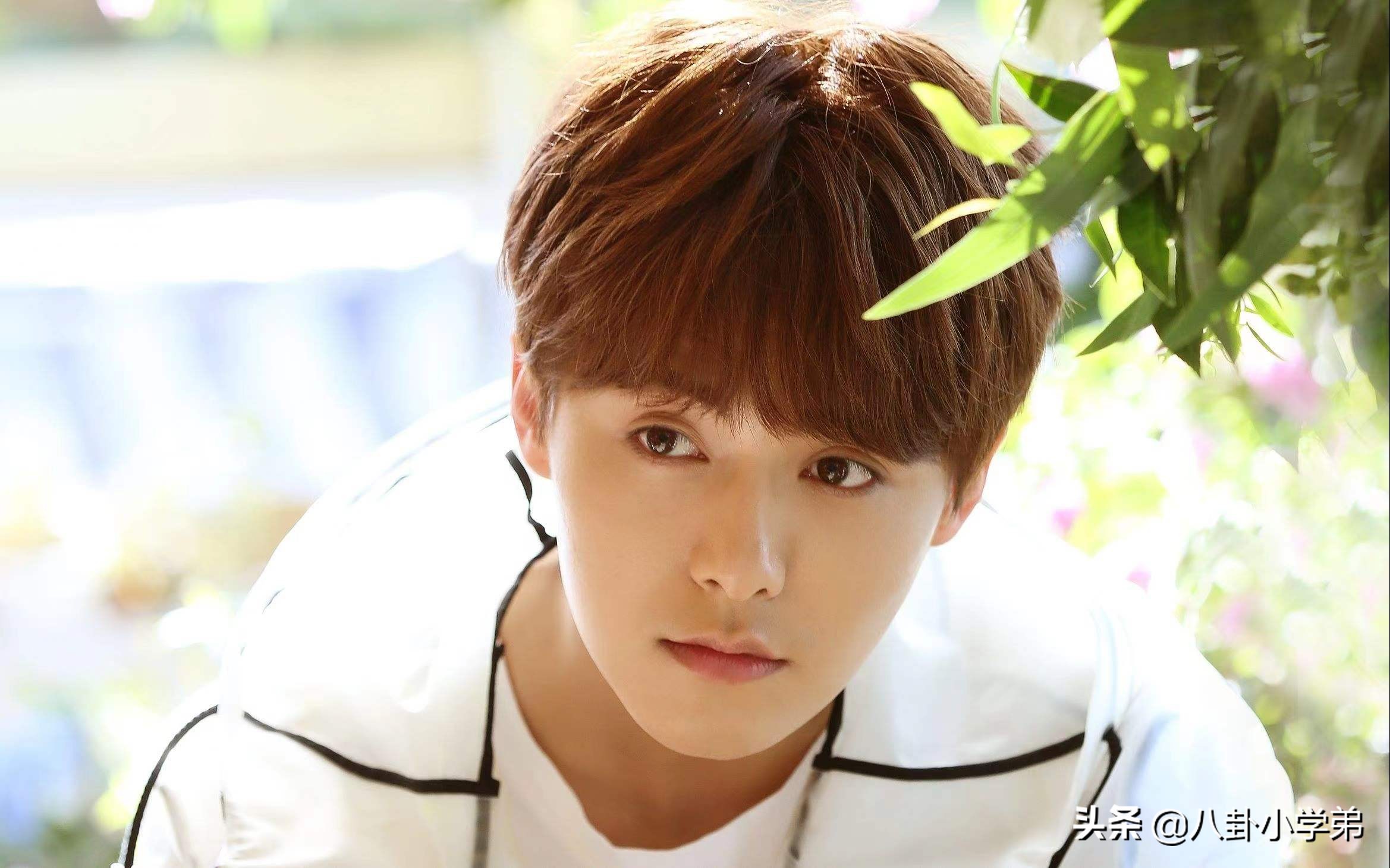 清秀脱俗的男生,清秀的男明星