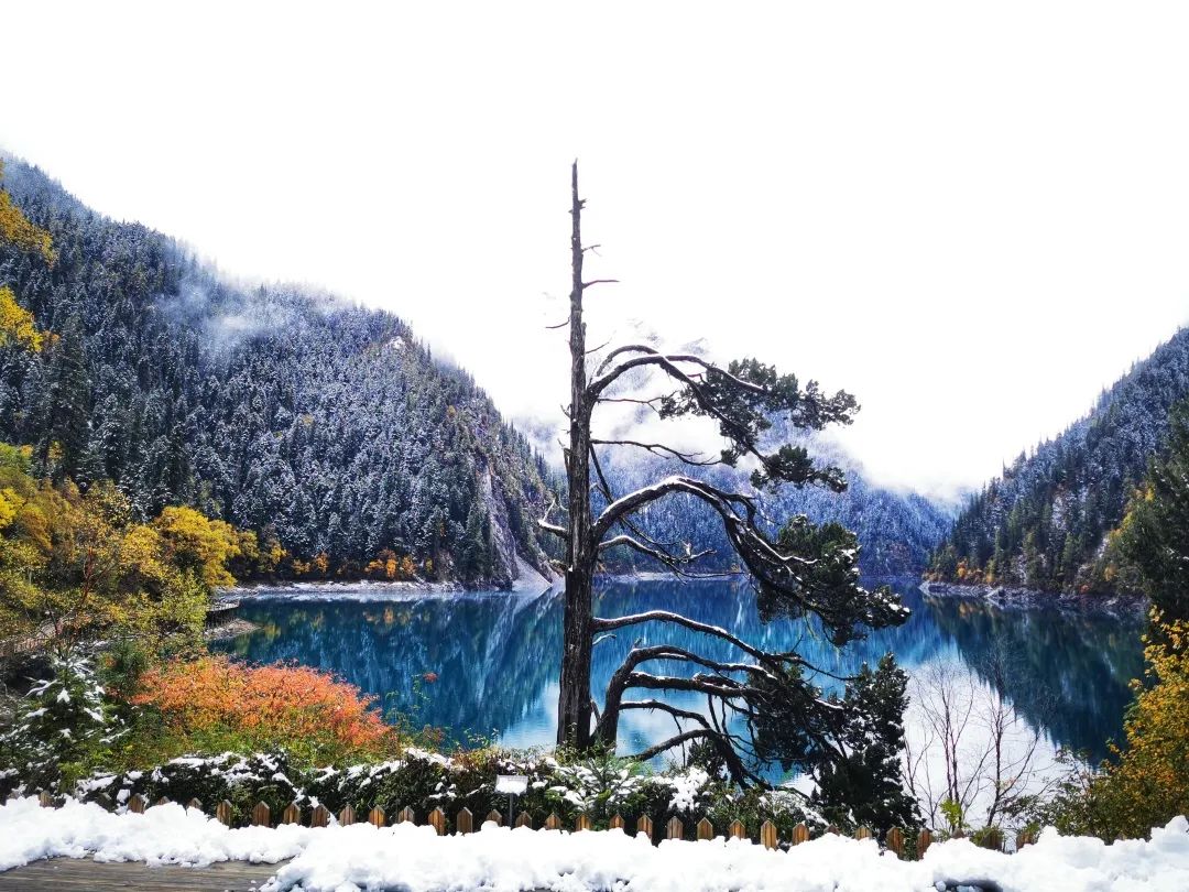 四川不同季节的九寨沟,四川最值得去的九寨沟