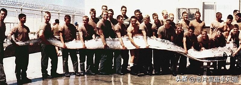 跟哥斯拉中的泰坦巨兽做一个对比,哥斯拉里面的18只泰坦巨兽排行榜