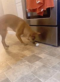 女厕的诡异之处,女厕所发现怪异男尸