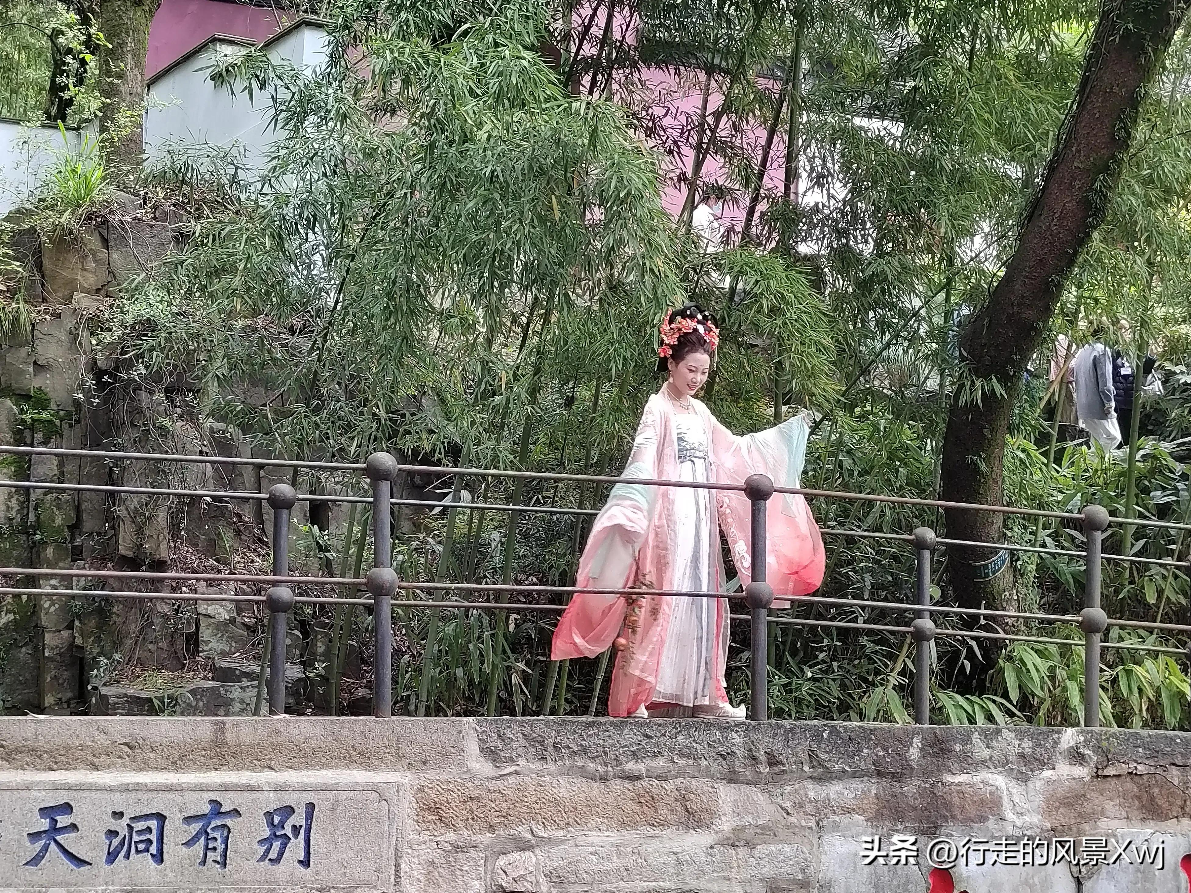 烟花三月下江南猜生肖,苏州江南农耕文化园烟花