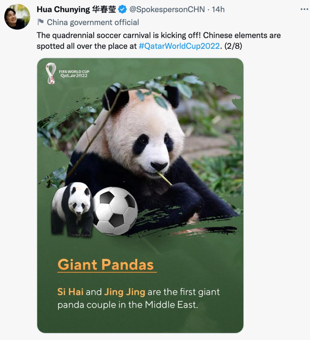 世界杯开幕！中国元素“无处不在”！华春莹连发8推