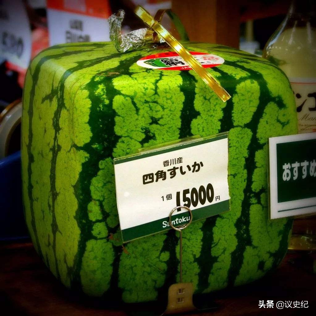 日本人在山东租地1500亩闲置5年,日本人在山东租1500亩地干啥用