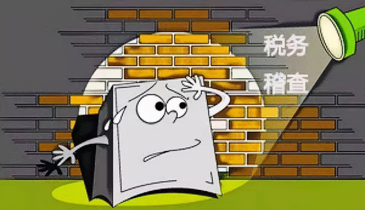 税务严查风险纳税人,税务稽查与应对防范