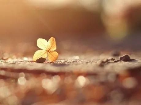 没话题了怎么和女朋友聊天,与女朋友聊天没话题怎么办