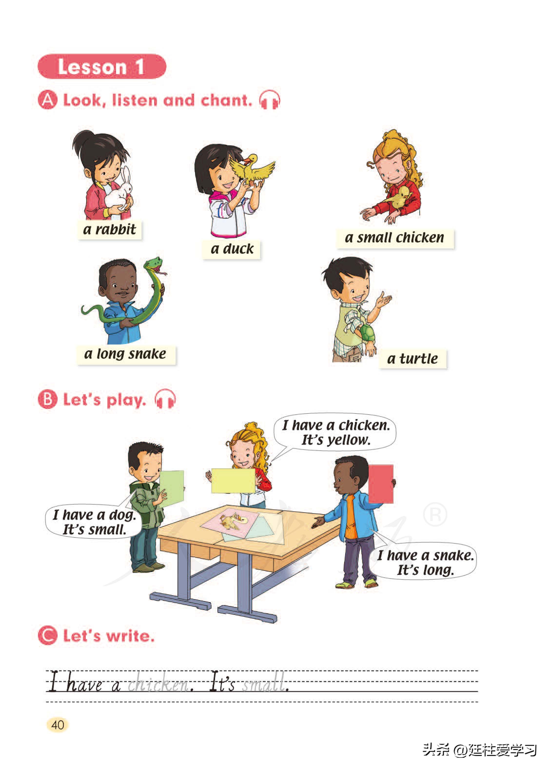 小学英语外研版三年级上册,小学英语精通版三年级上册