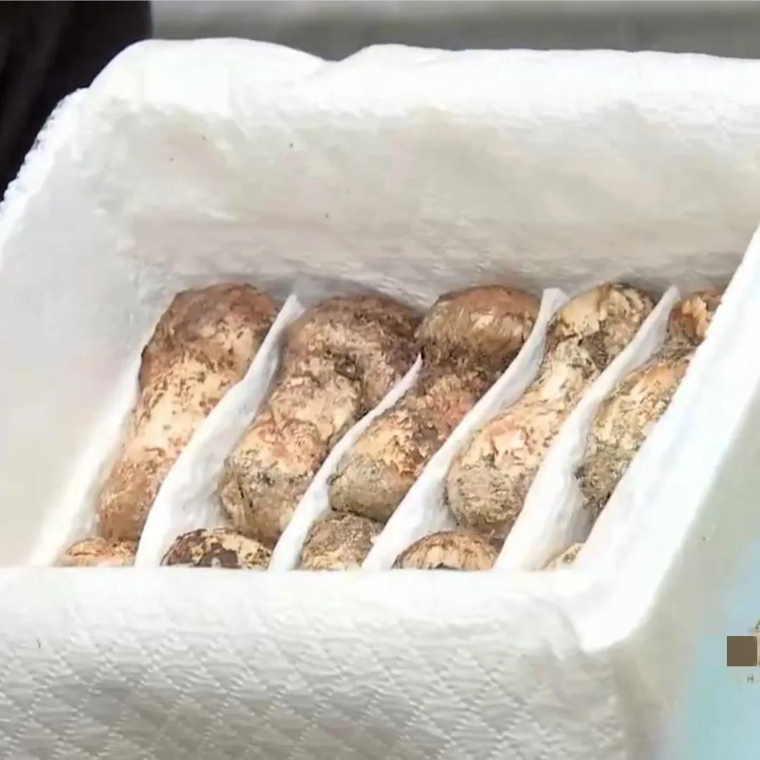 看云南男子如何玩转山货,成功带领1000位农民致富,销售额2000万