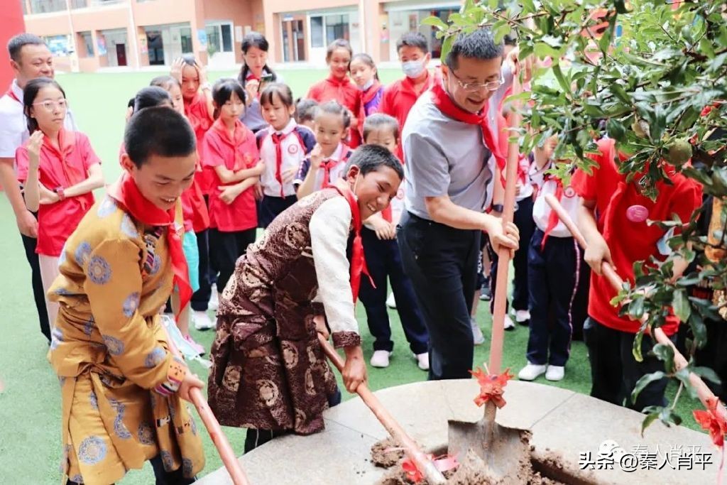 石榴籽一家亲夏令营总结会,石榴籽一家亲夏令营视频