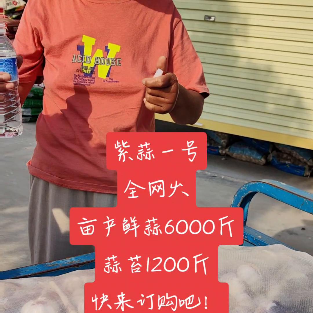 三农致富经养猪技术,三农致富经养殖麻雀