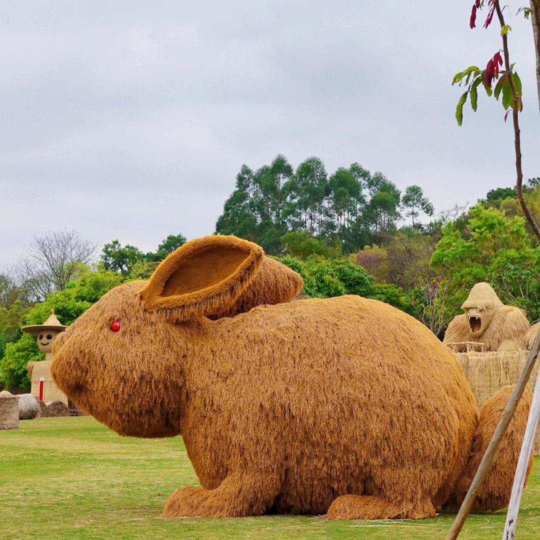 郁金香主题公园稻草人,2022年郁金香花海贵州
