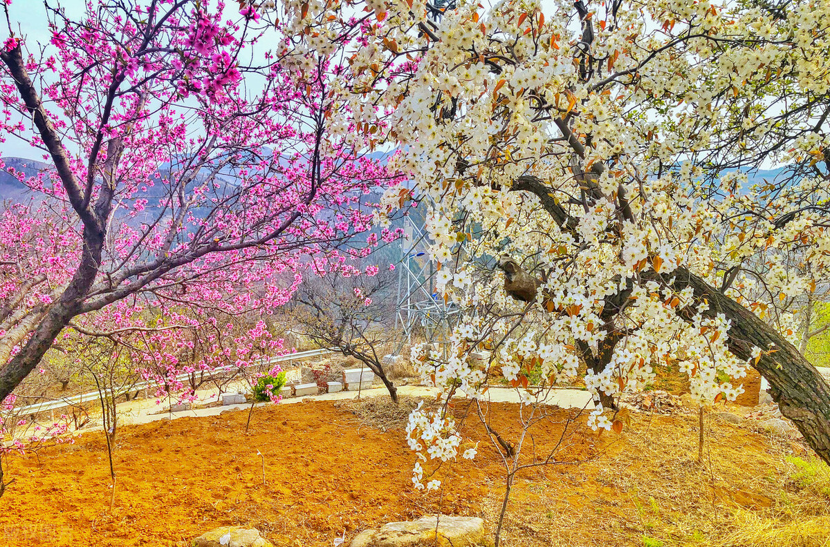 曾军良校长演讲心得体会,曾军良校长培训心得