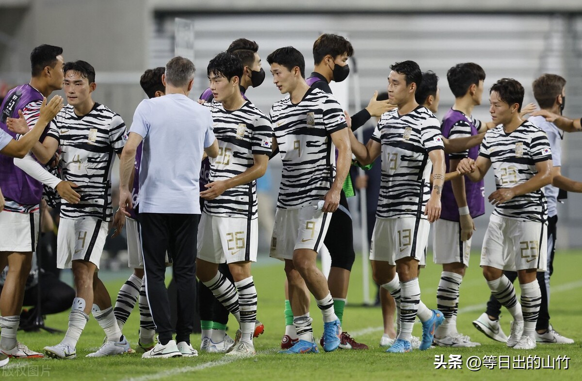 太极虎韩国队比赛视频,太极虎对战兔子