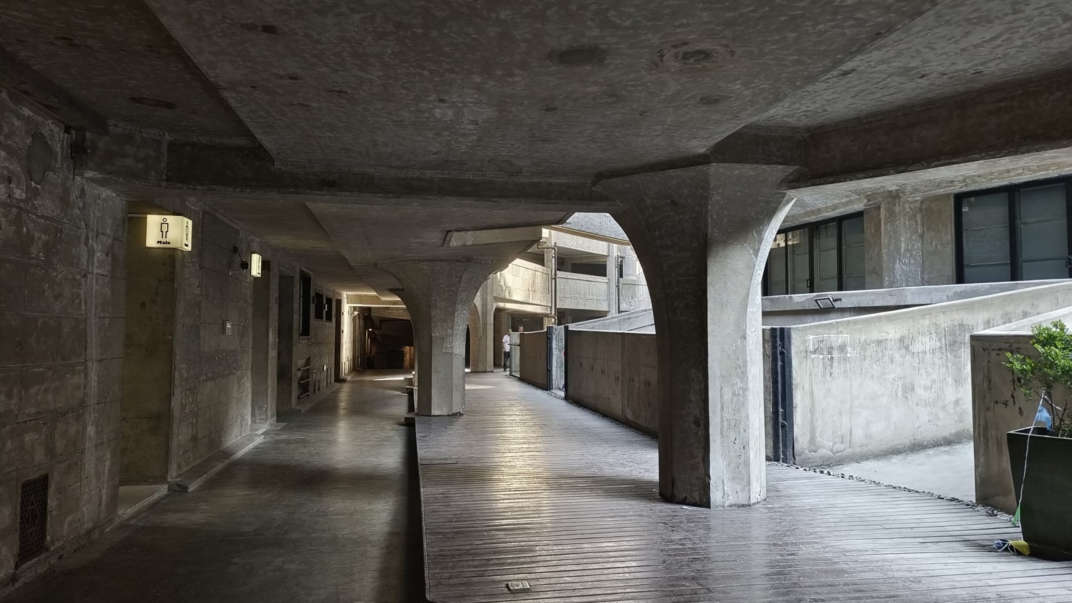 上海研学计划三天两夜,上海研学两日游