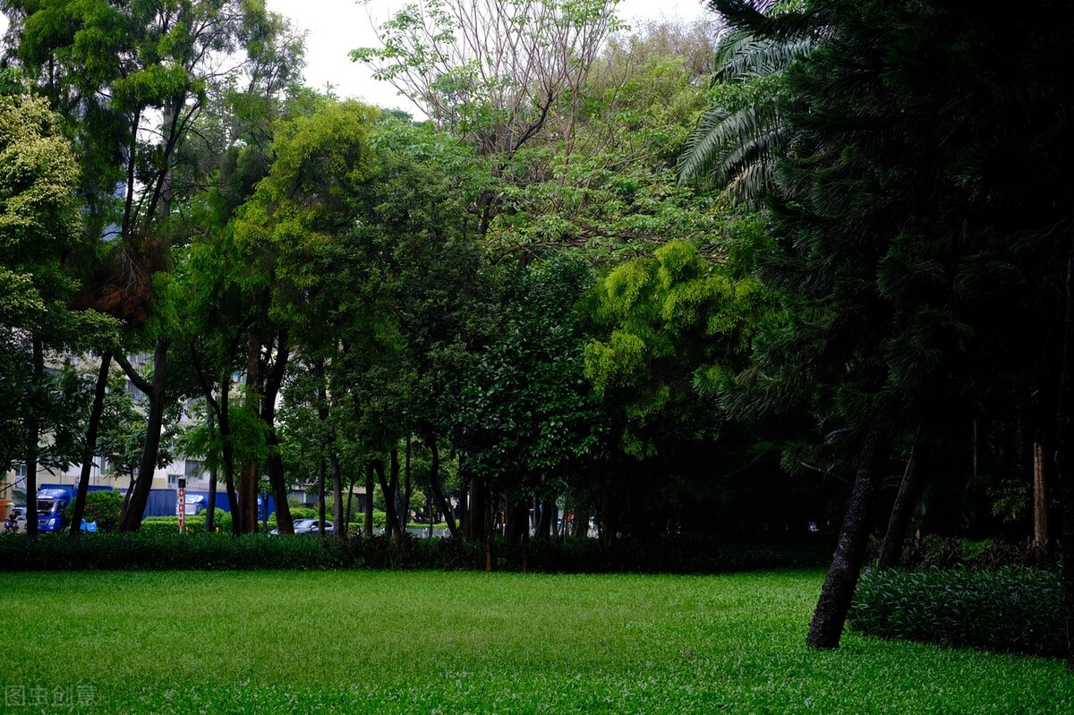 周末森林公园推荐深圳宝安,深圳森林公园登上山顶看美景