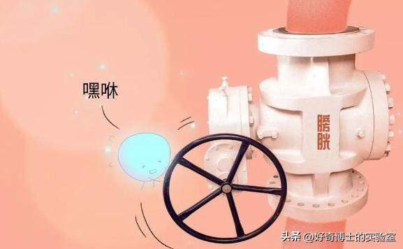 什么坐姿不易诱发前列腺炎,前列腺最怕的5个坏习惯