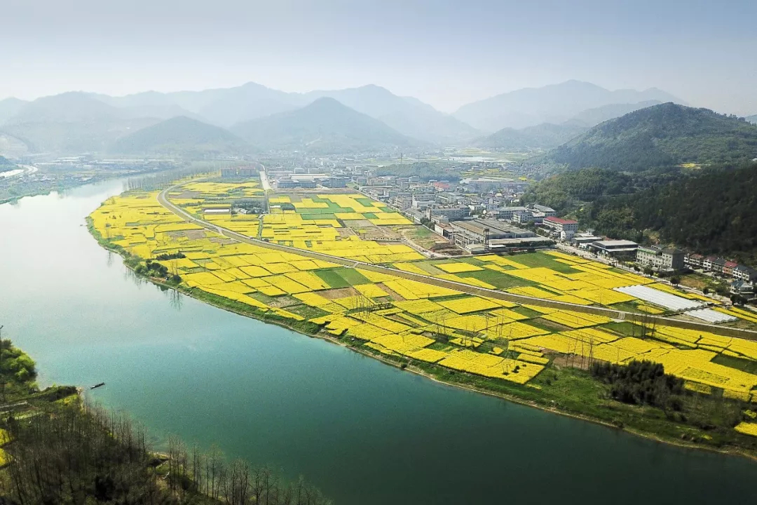 向往的生活浙江桐庐,桐庐值得不值得去