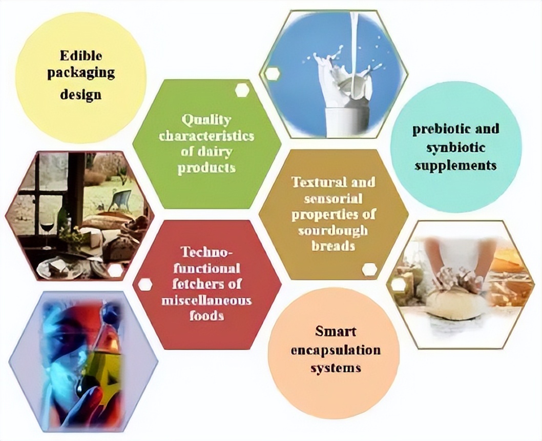 涔抽吀鑿岃優澶栧绯栫殑鐮旂┒杩涘睍,澶氱硸瀵逛钩閰歌弻鐩婄敓浣滅敤鐮旂┒杩涘睍